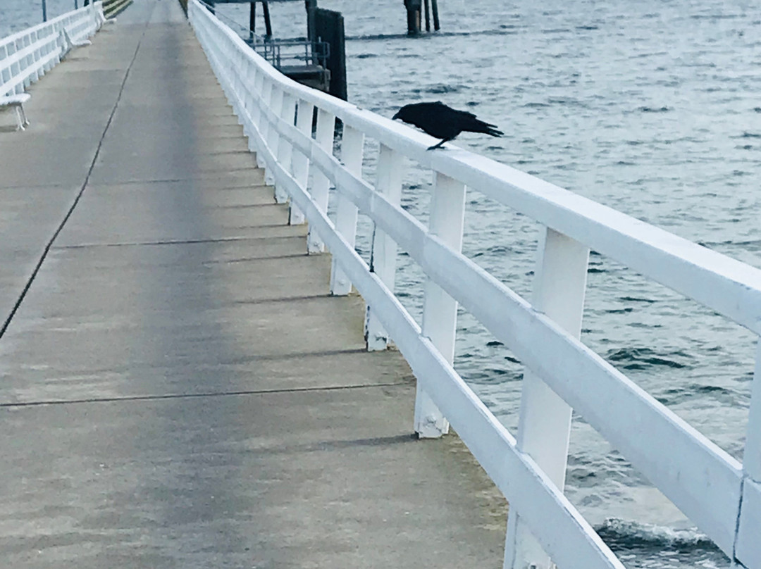 Seebrücke Niendorf景点图片