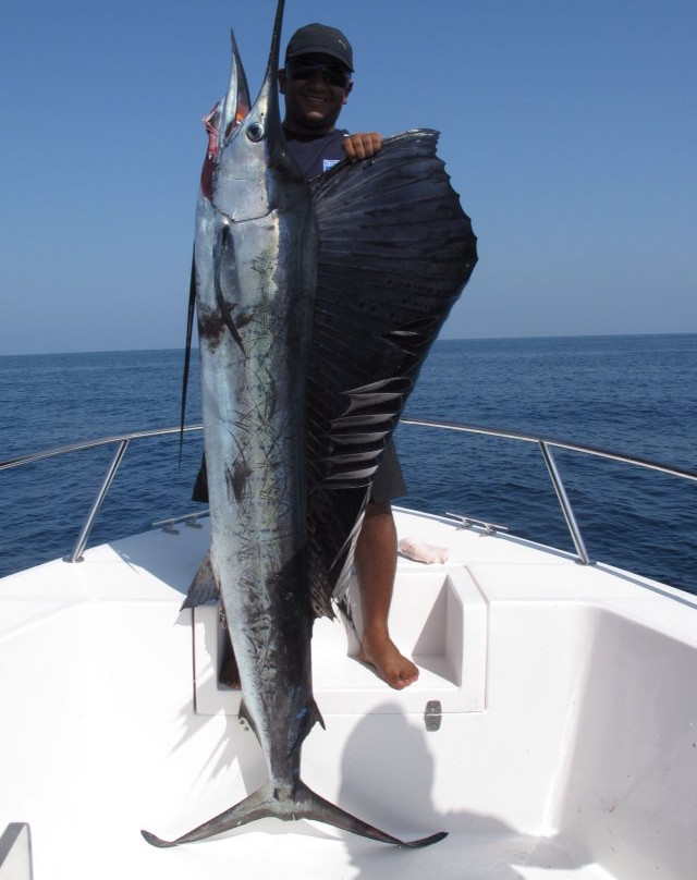 Marassi Sportfishing景点图片