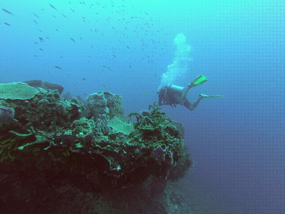 Kariba Plongee-圣吕斯必去景点