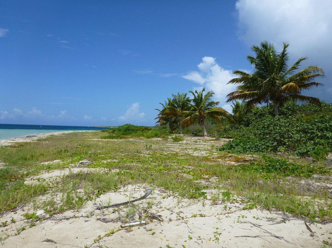 Vieques National Wildlife Refuge景点图片