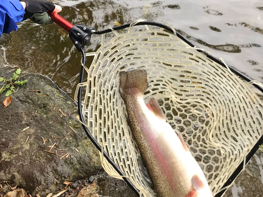 Susono Fishing Park景点图片