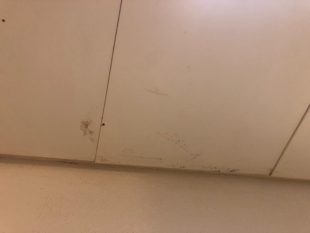 Coral Beach Hotel & Resort主图