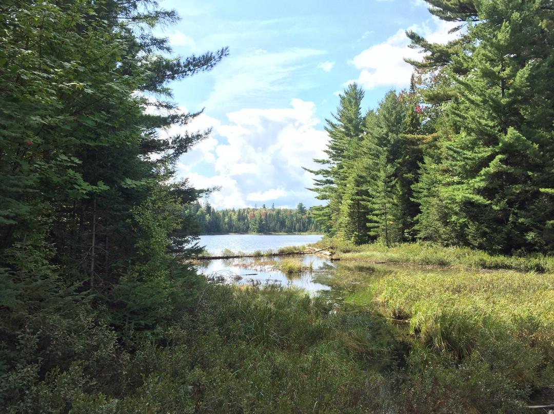 Peck Lake Trail景点图片