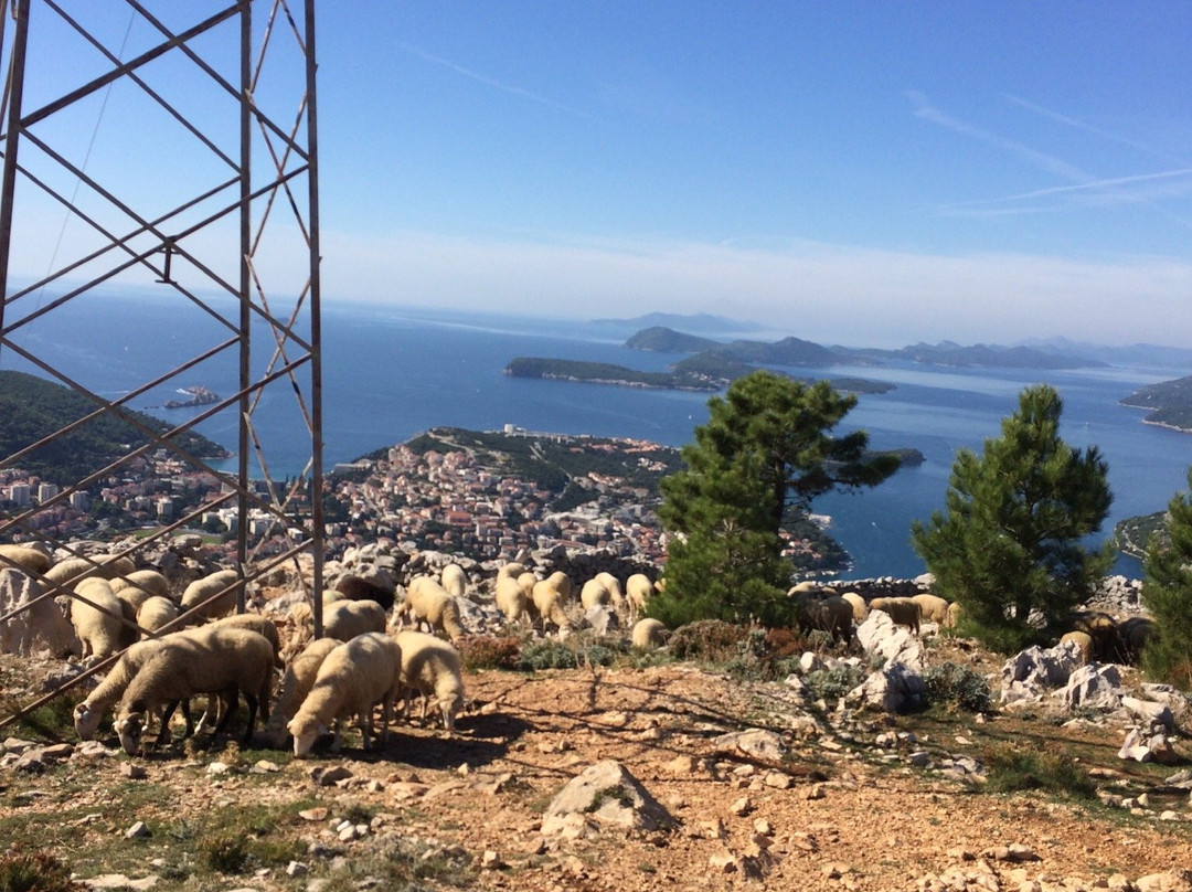 Buggy Safari Dubrovnik景点图片