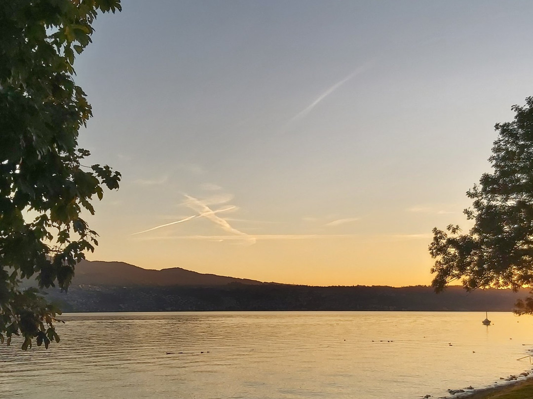 Uerikon旅游攻略图片