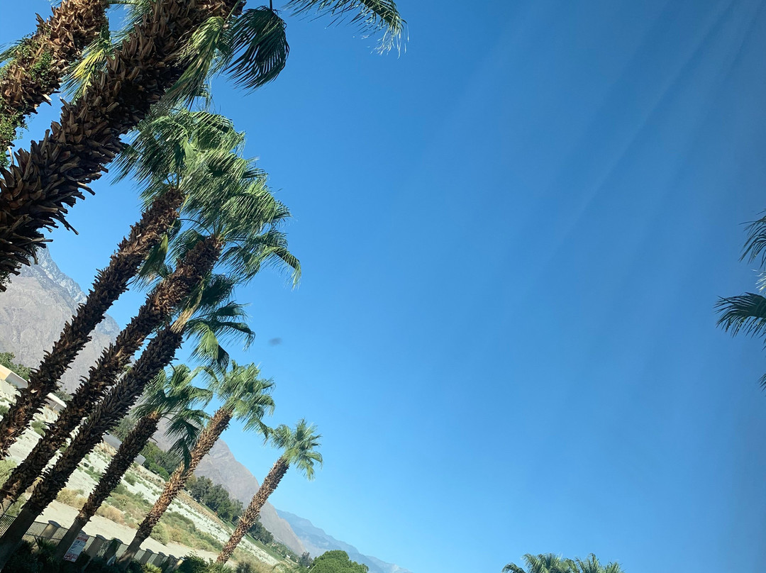 Hampton Inn & Suites Cathedral City主图