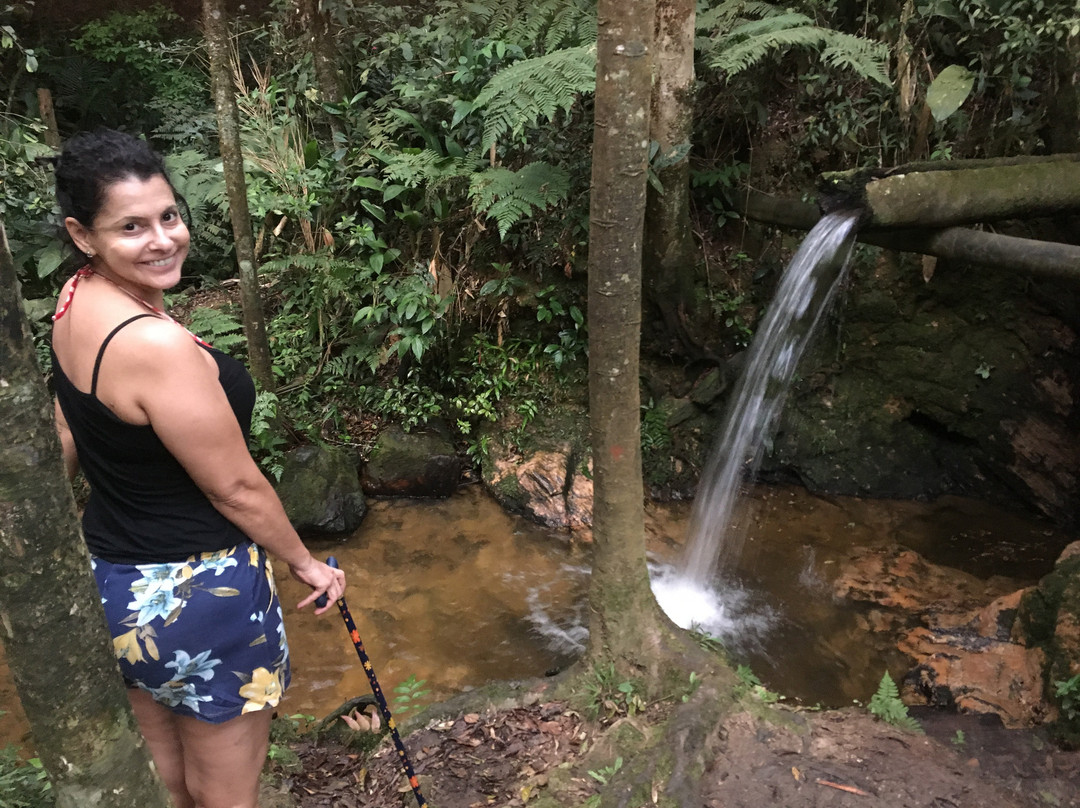 Parque Estadual Carlos Botelho景点图片