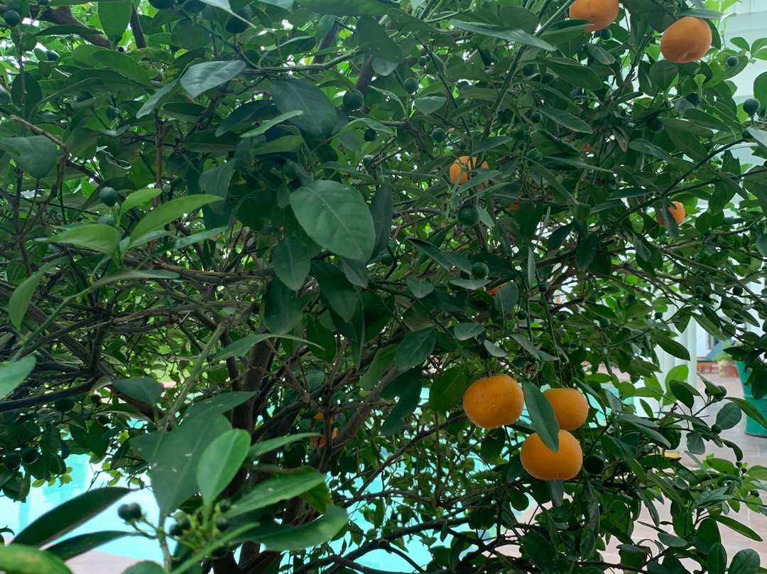 邦迪哈多提宫酒店主图