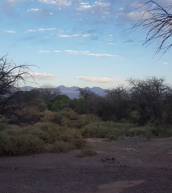 Cabanas Don Sebastian主图