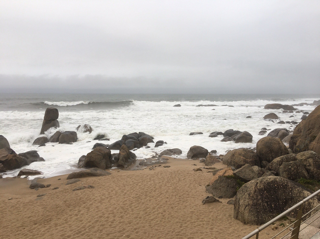 Praia da Madalena-加亚新城必去景点