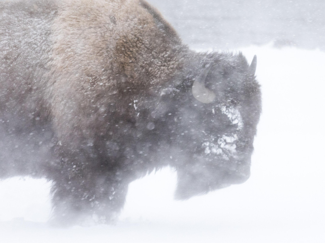 Trent Sizemore Photography-西黄石镇必去景点
