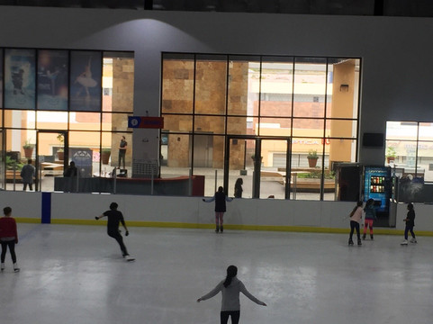 El Marques Municipality旅游景点-Icedome Juriquilla