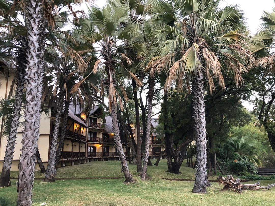 The David Livingstone Safari Lodge & Spa主图