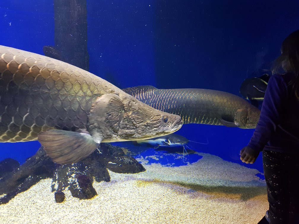 Yama no Aquarium-北见市必去景点