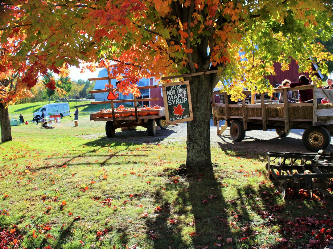 Dover Plains旅游景点-Soukup Farms