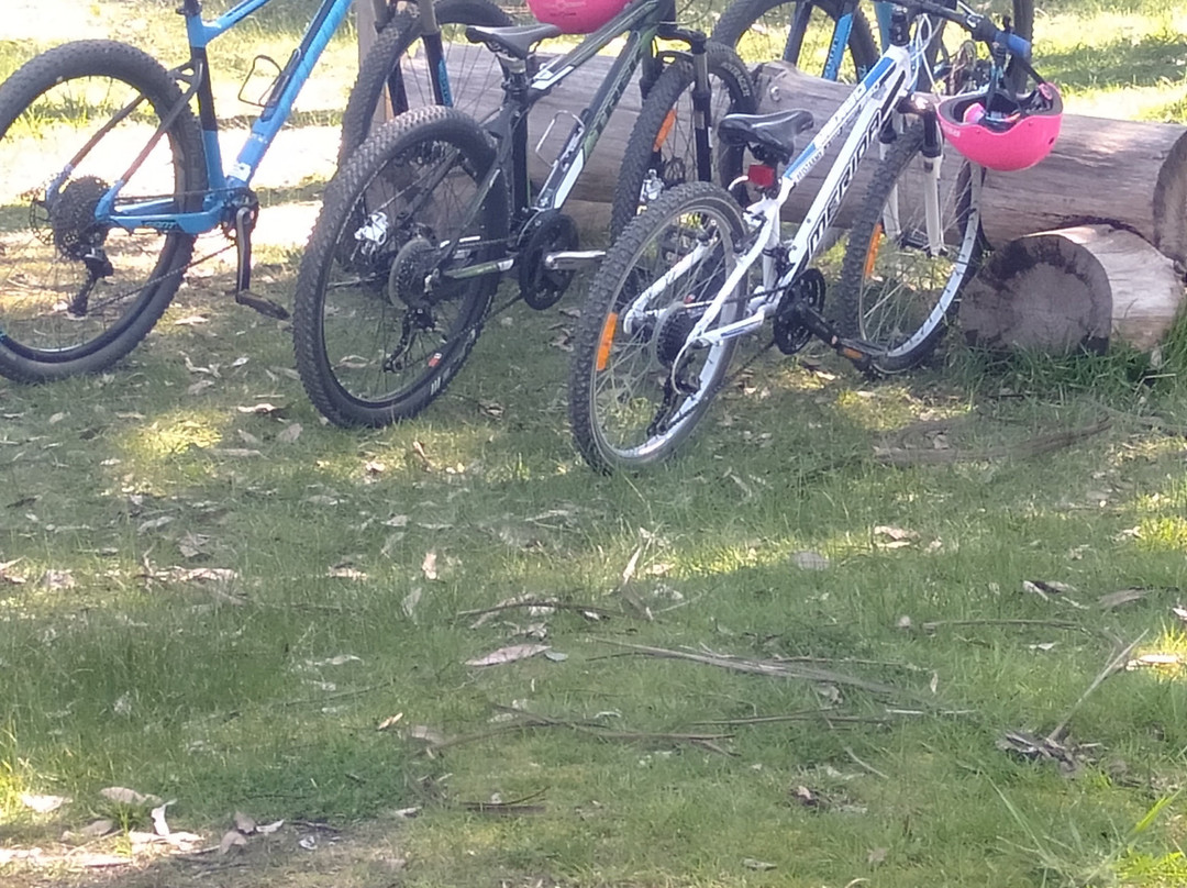 Forrest Hire Bikes-Forrest必去景点