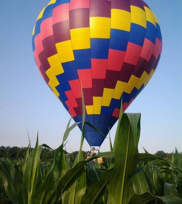 Delmarva Balloon Rides景点图片