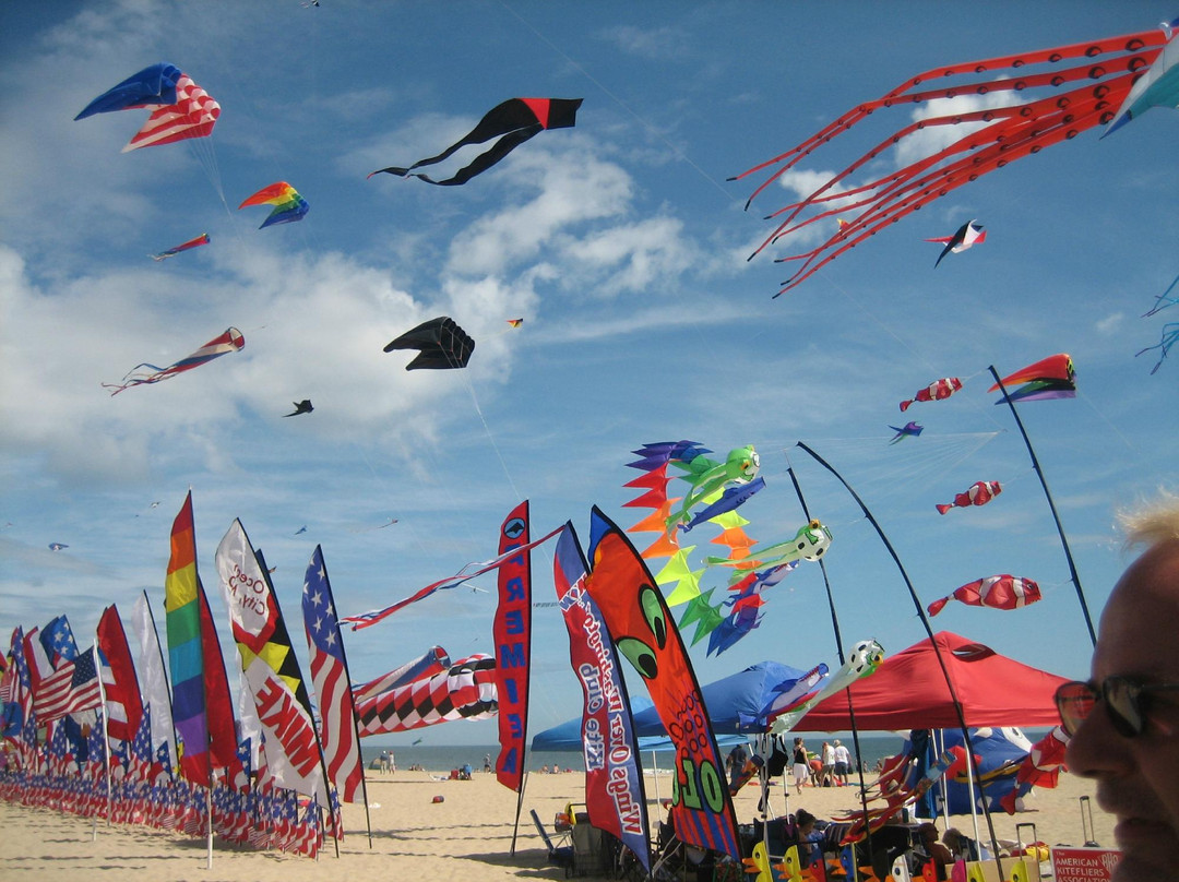 The Kite Loft景点图片