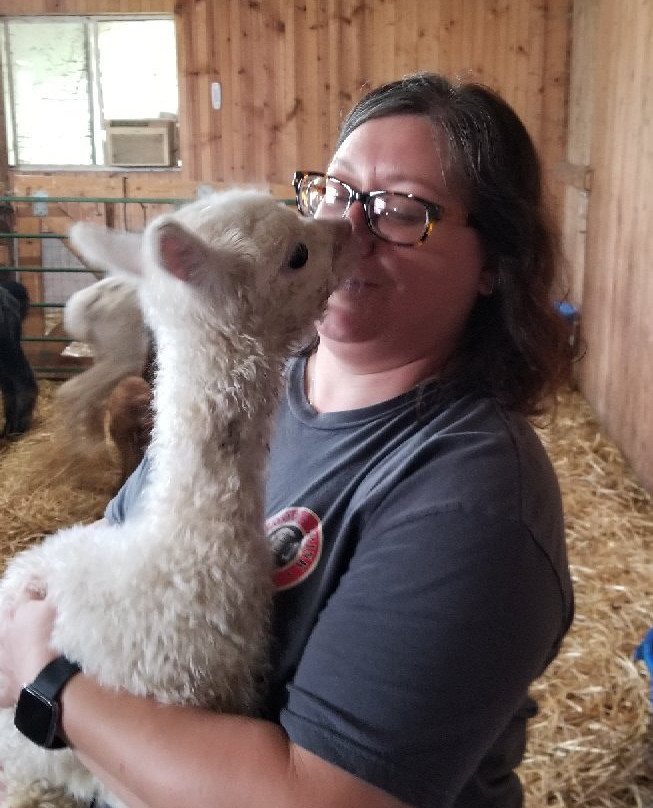 Tiskilwa Farms Alpacas景点图片