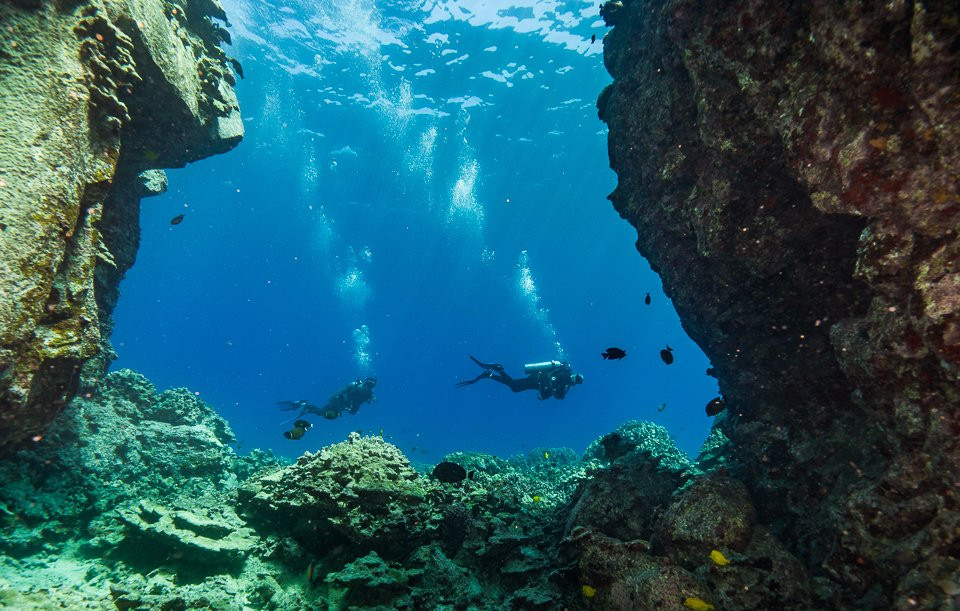 Waikoloa Dive  Instructor and Guide景点图片