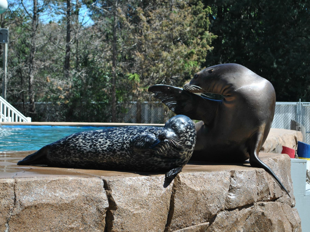Oceans of Fun-密尔沃基必去景点