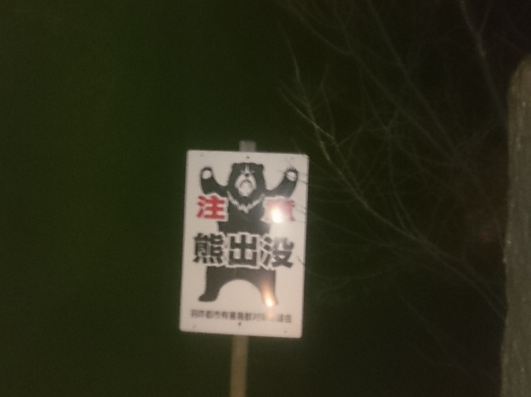 Moses Park景点图片