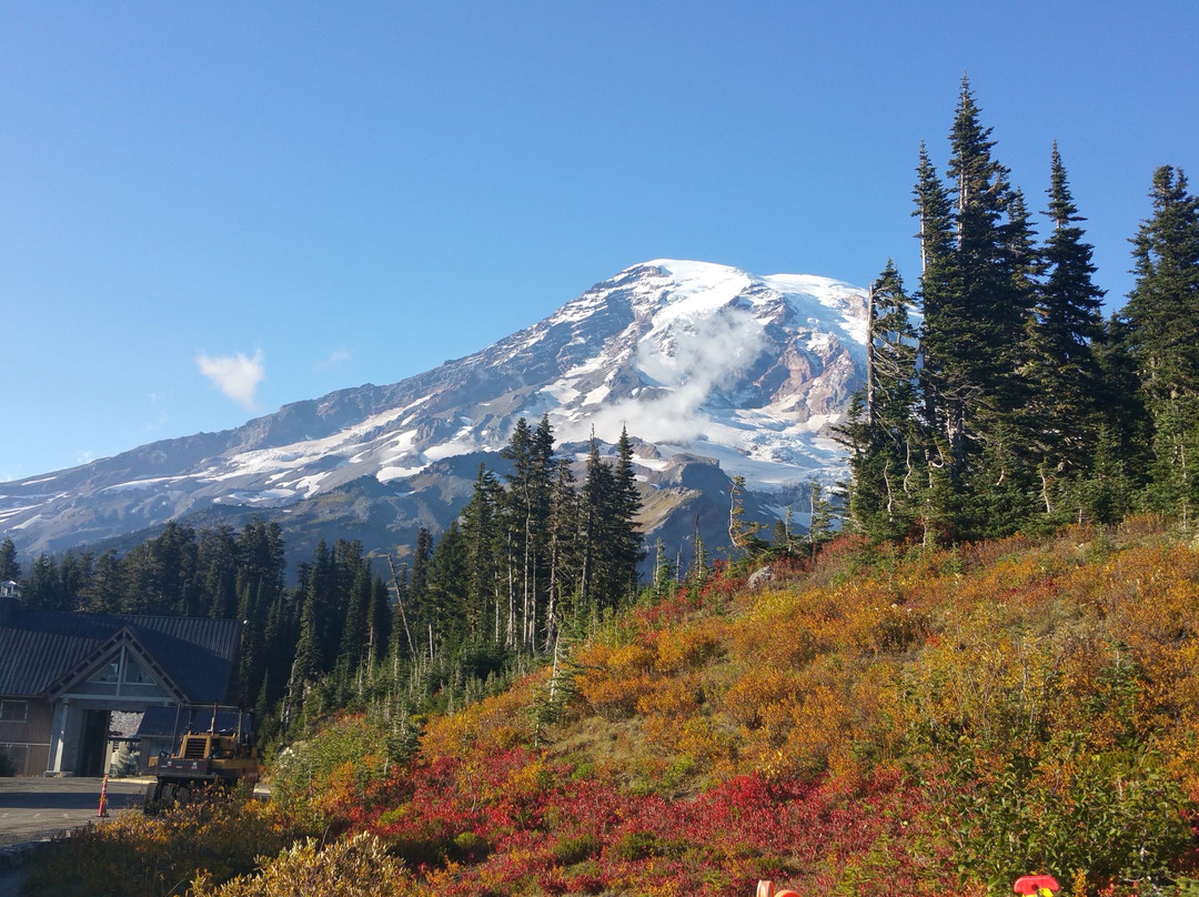 Nisqually Vista Loop景点图片