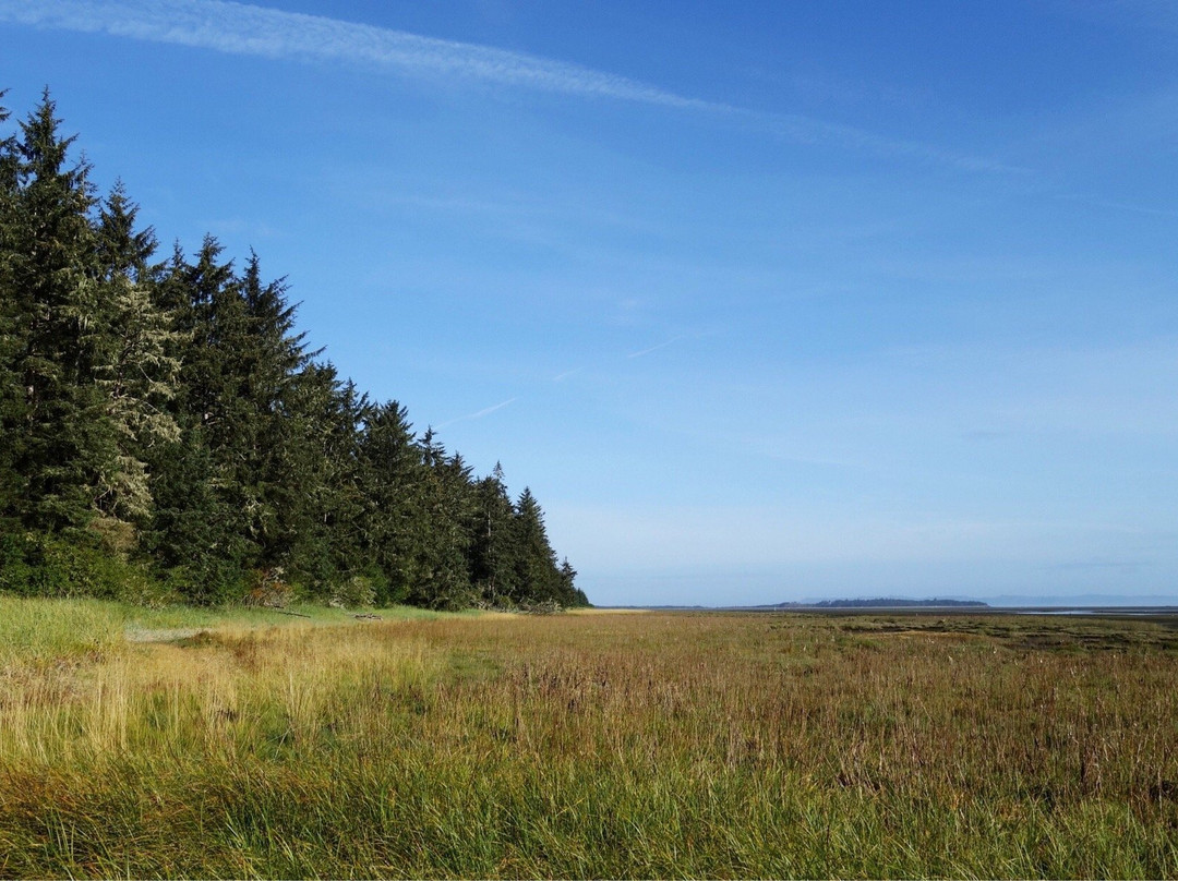 Leadbetter Point State Park景点图片