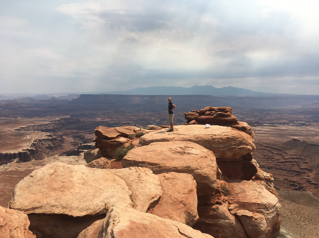 White Rim Overlook Trail景点图片