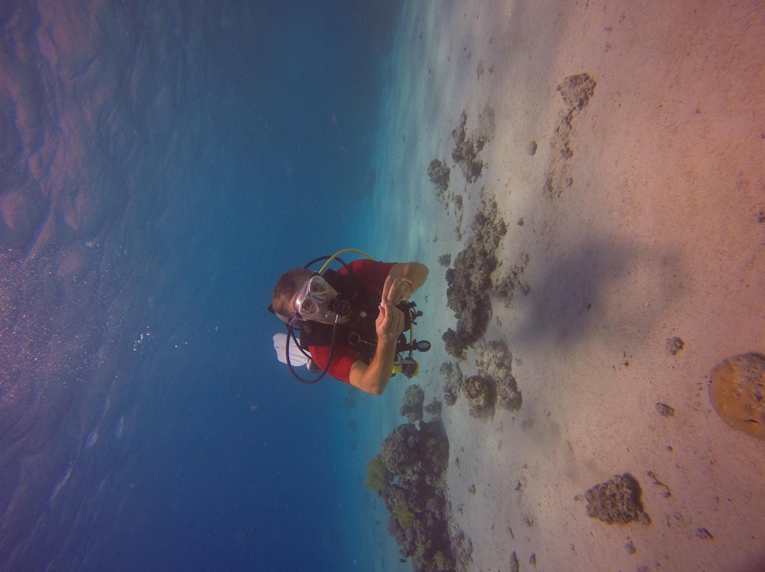 Fish & Friends Diving Centre-达哈卜必去景点