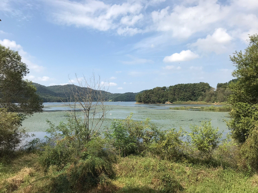 Gwangjuho Lake Eco Park-光州必去景点