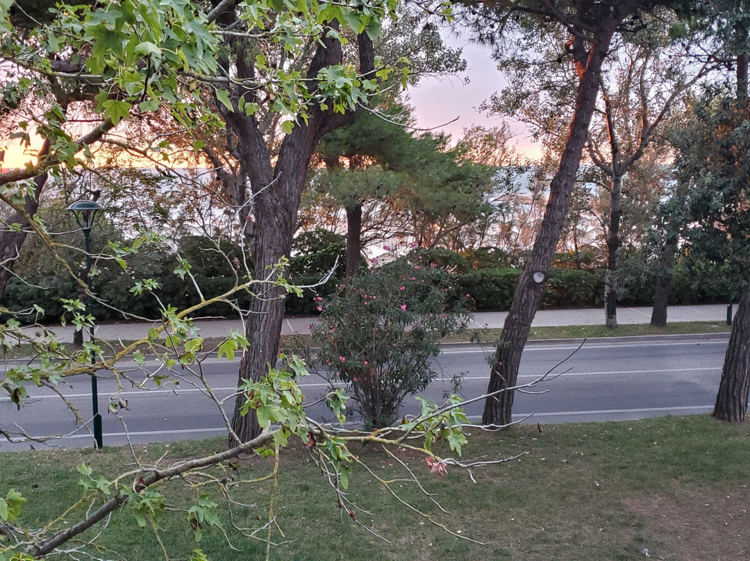 Marea Le Ville del Lido Resort主图