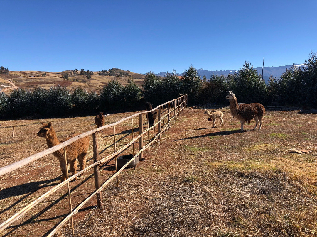 Andean Colors景点图片
