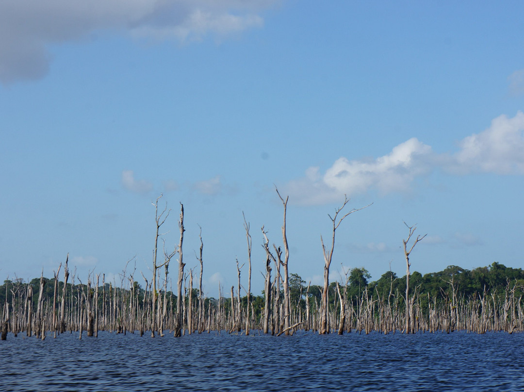 Barrage de Petit Saut