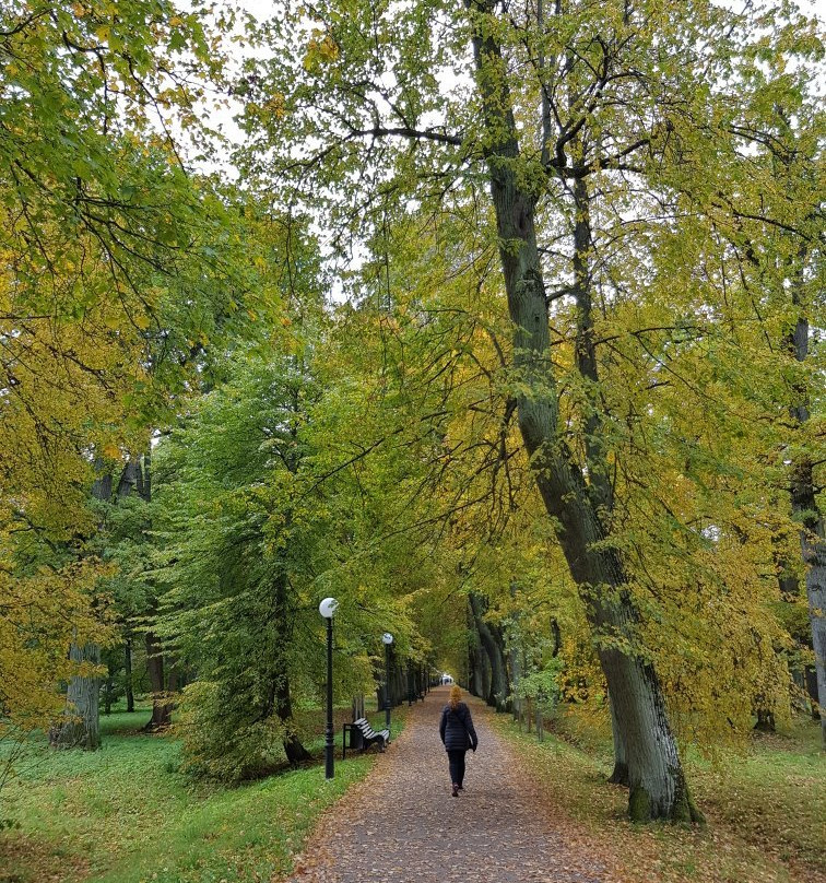 Kadriorg Park景点图片