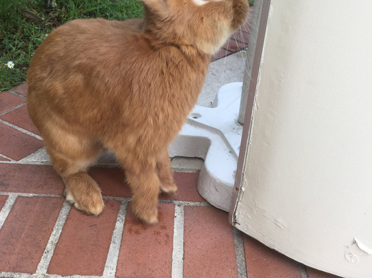 旺斯圣马丁庄园及水疗度假村主图