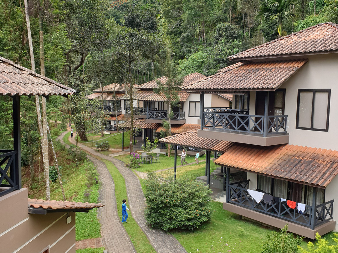 The Serenity Resort主图