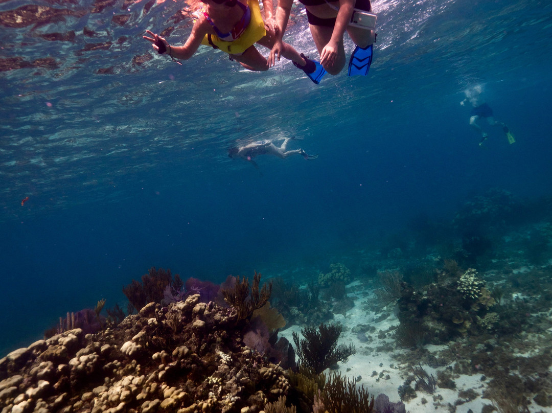 Crazy Crab Private Boat Charters-Camana Bay必去景点