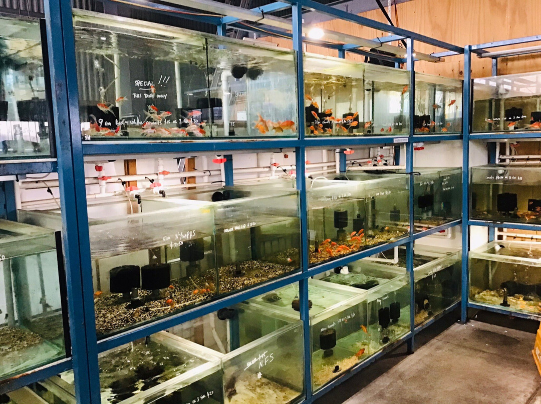 Geelong's Family Pet and Aquarium