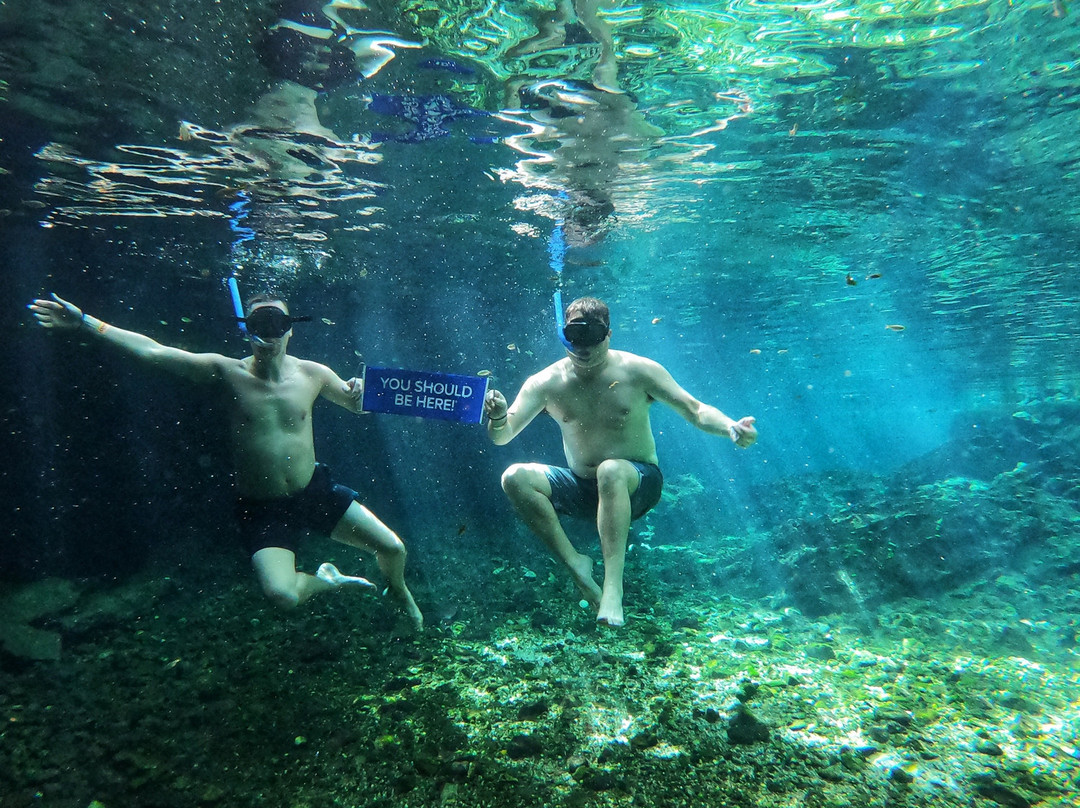 Cenotes Park Hidden Treasures-图伦必去景点