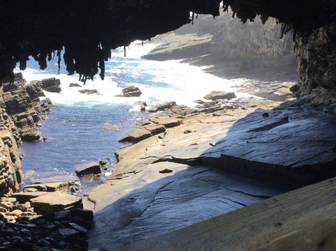 Australian Iconic Tours-阿德莱德必去景点