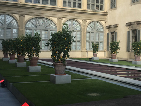 科西尼宫-佛罗伦萨必去景点