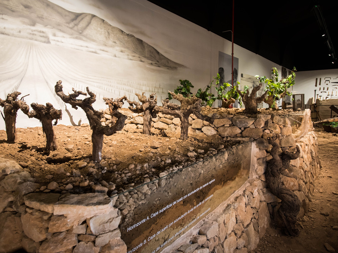 Bodegas Hacienda Del Carche-Jumilla必去景点