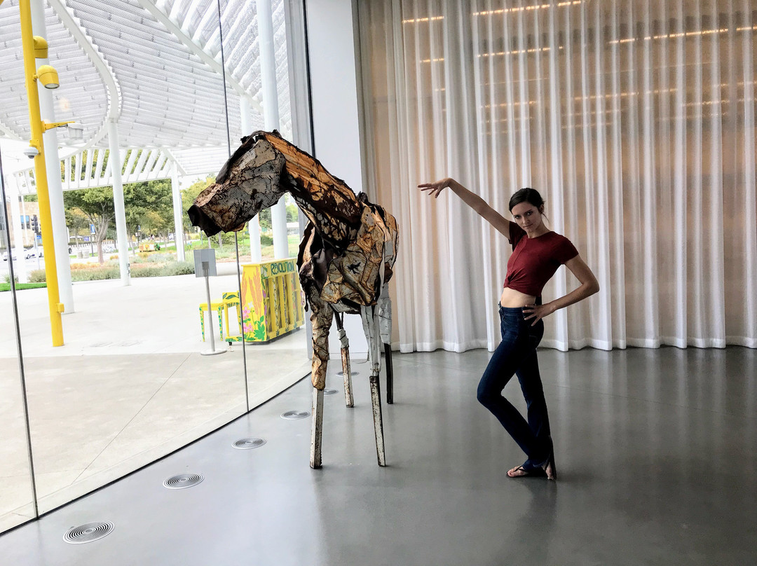 Jan Shrem and Maria Manetti Shrem Museum of Art景点图片
