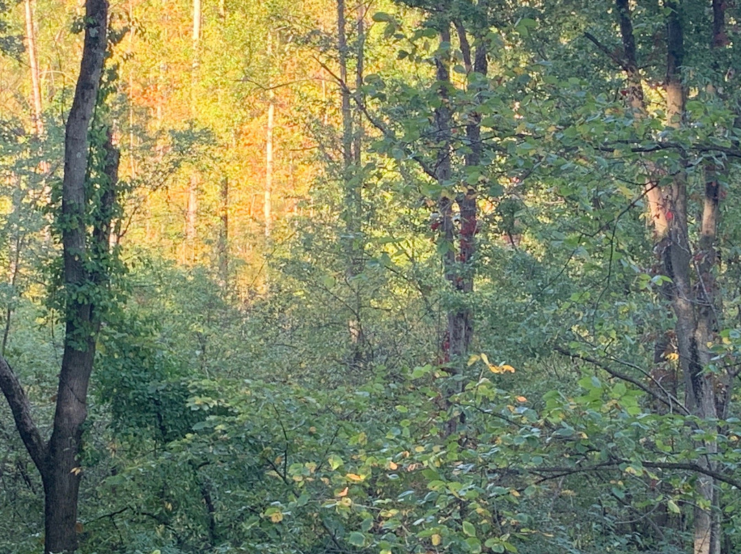 Sarett Nature Center-Benton Harbor必去景点