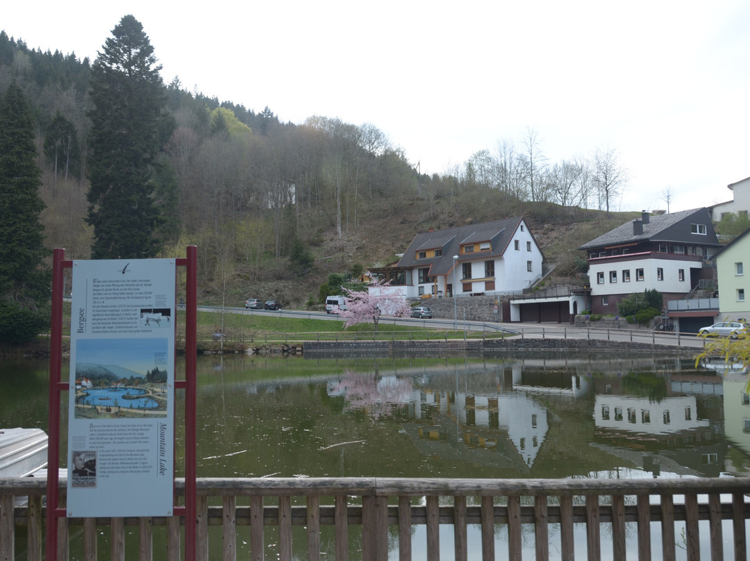 Bergsee景点图片