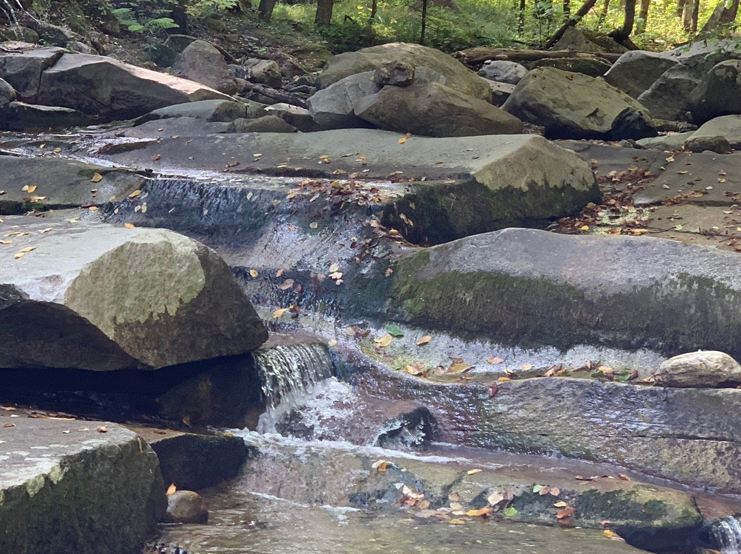 Old Jelly Mills Falls-West Dummerston必去景点