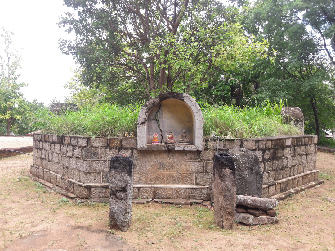 Sri Nagala Rajamaha Viharaya景点图片