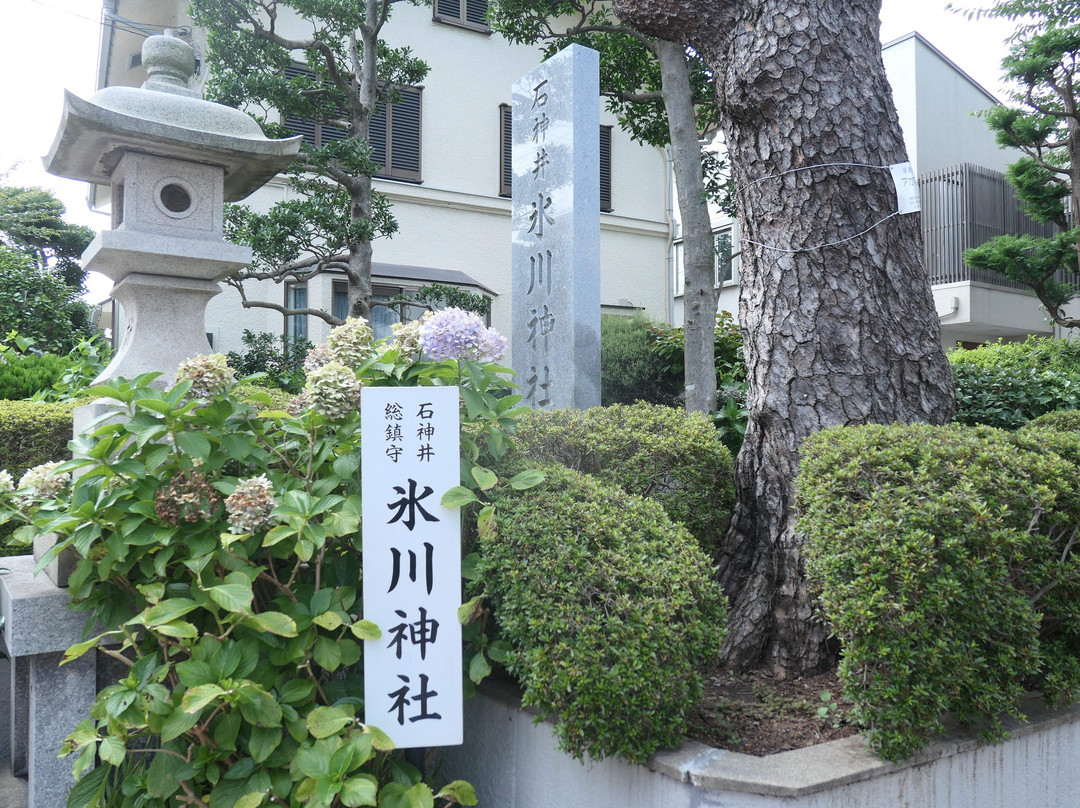 Shakujii Hikawa Shrine景点图片