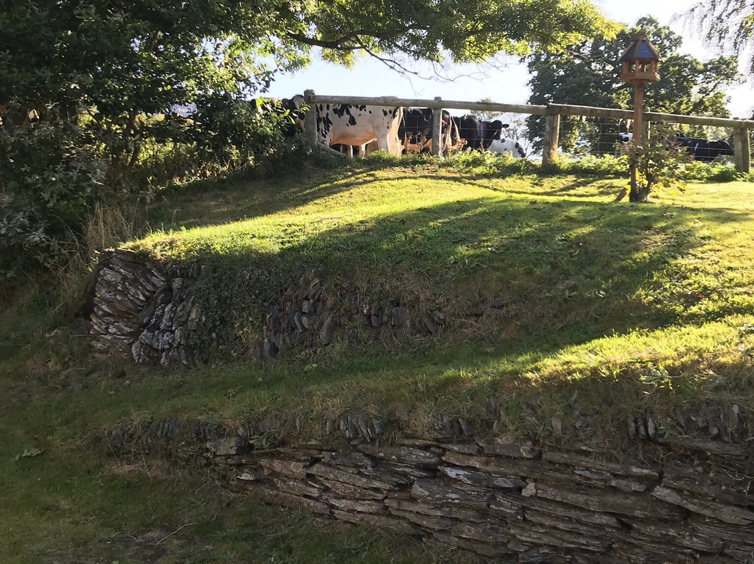 Park Farmhouse Bed & Breakfast主图